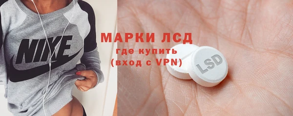 стаф Пересвет