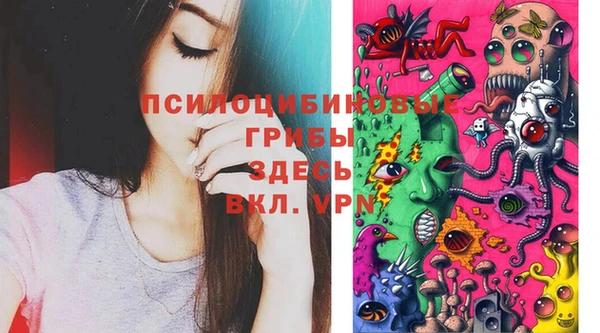 спиды Пролетарск