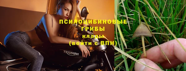 индика Покровск