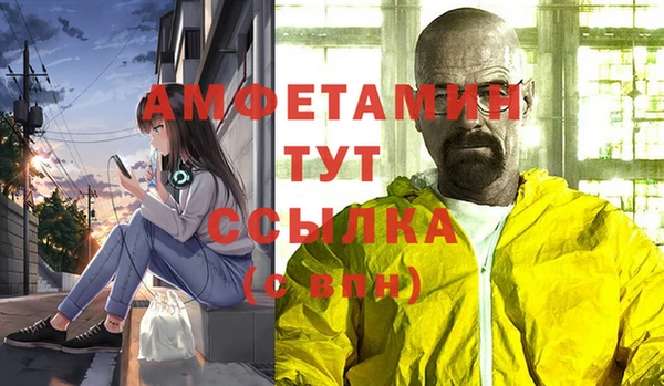 индика Покровск