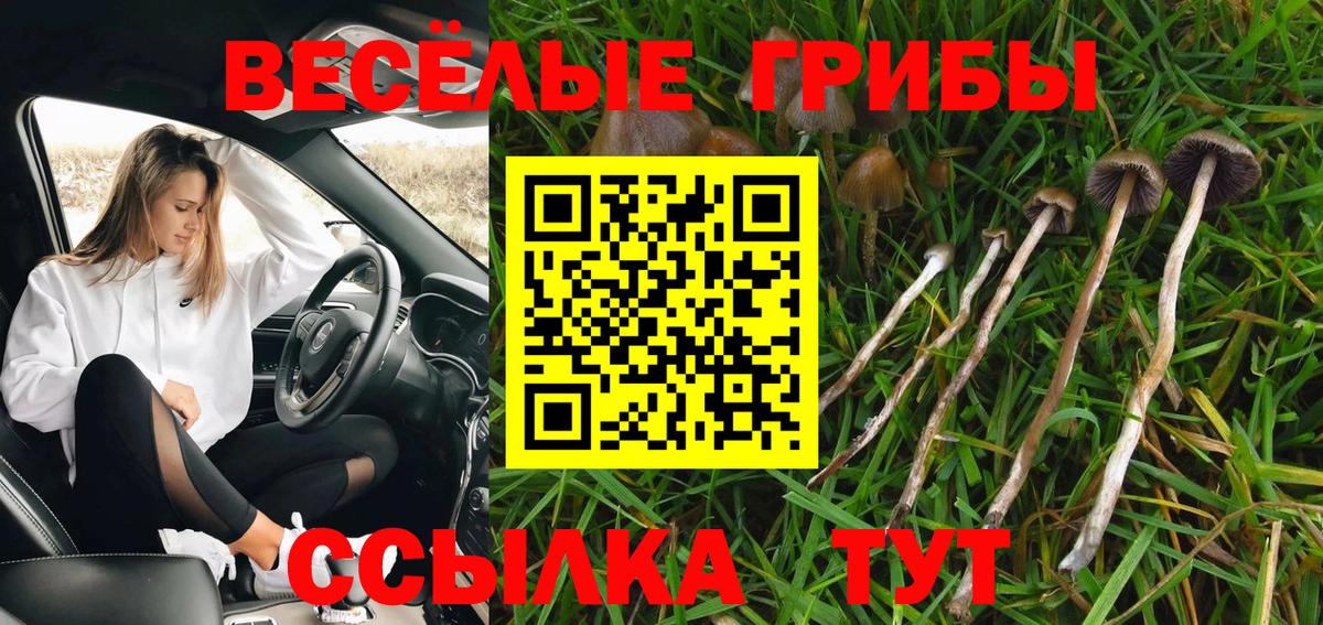 Галлюциногенные грибы MAGIC MUSHROOMS Лысьва