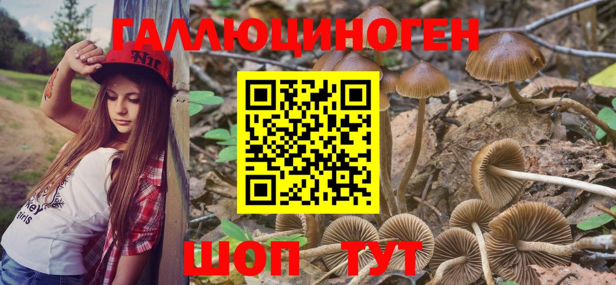 Лысьва  Псилоцибиновые грибы GOLDEN TEACHER  Вход с VPN 